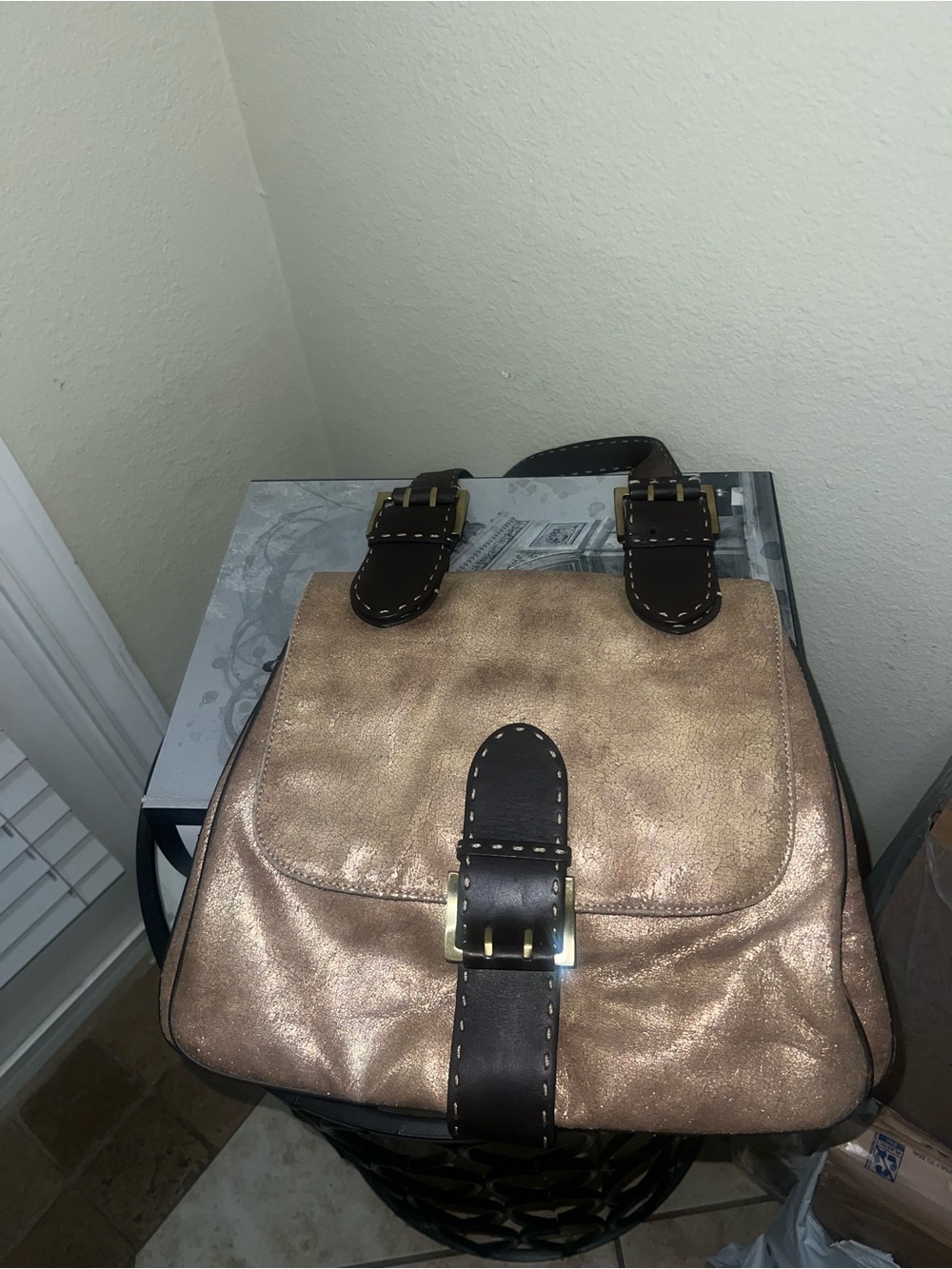 Metallic Donald Pliner crossbody bag